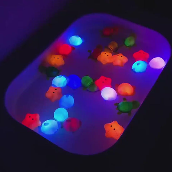 Induction Glow Animal Floating light Net Fishing A